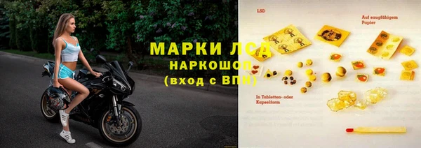 прущие грибы Алексин