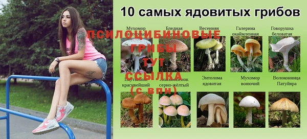 прущий лед Алзамай