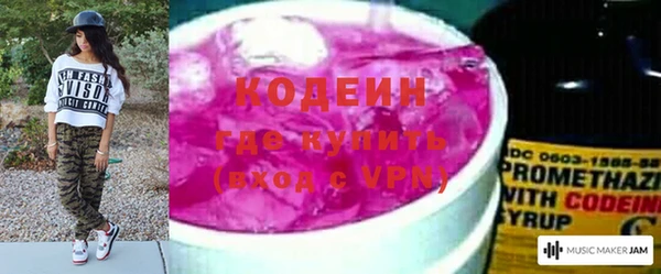 прущий лед Алзамай