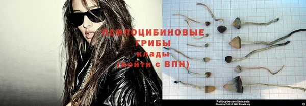 ECSTASY Алексеевка